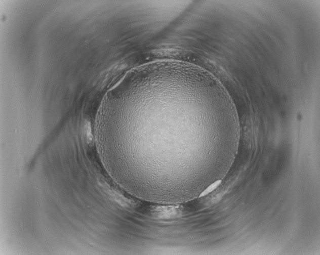 X0000060750089200511101127