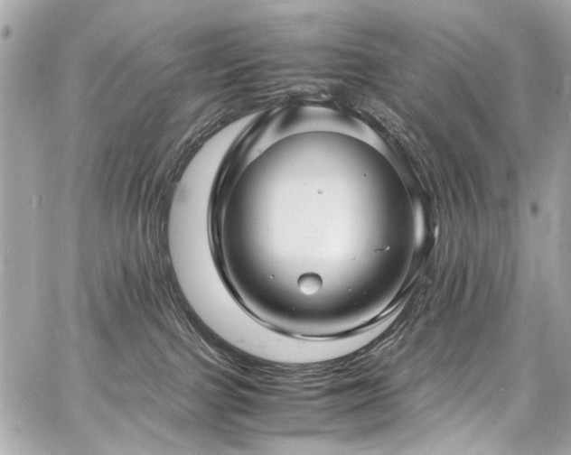 X0000060750091200511101127