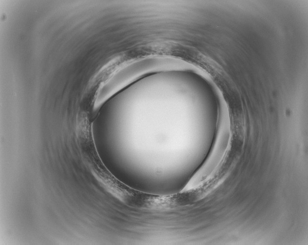 X0000060750092200511101127