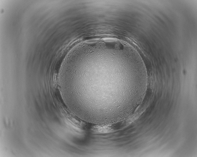 X0000060750093200511101127