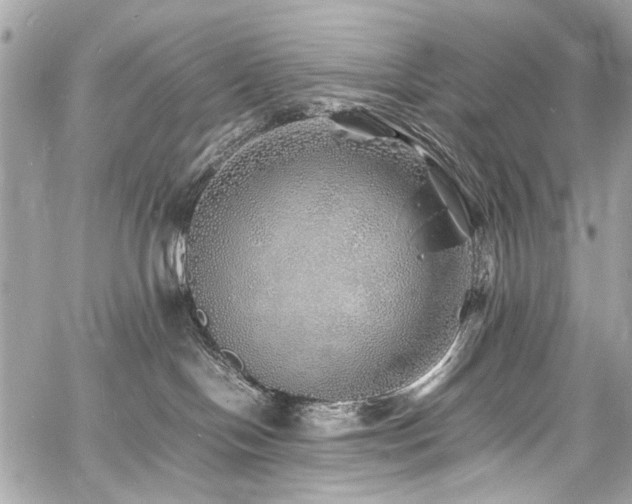 X0000060750094200511101127