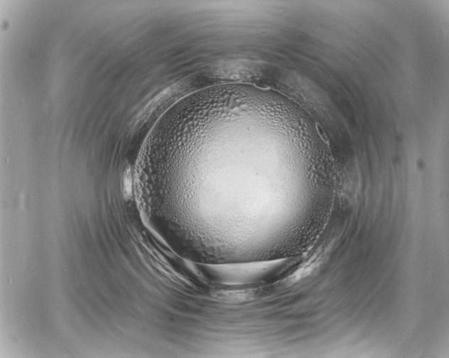 X0000060750095200511101127