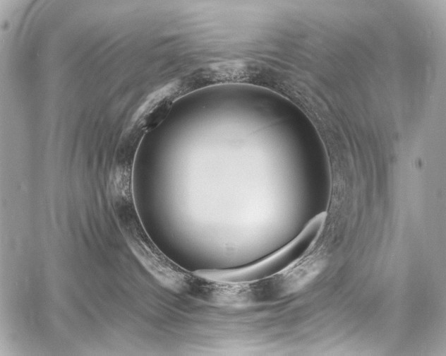 X0000060750096200511101127