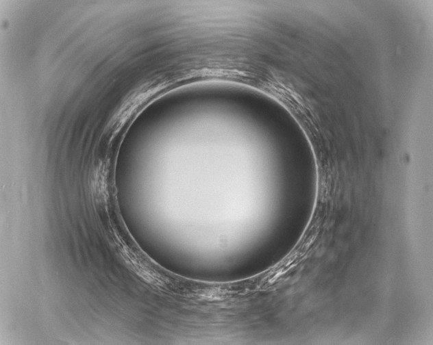 X0000060750098200511101126