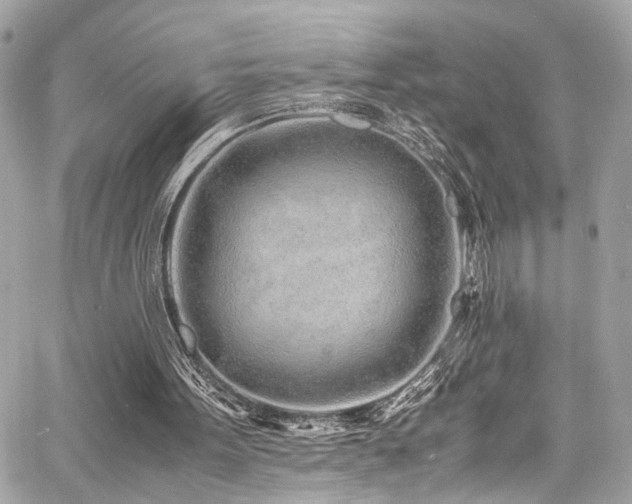 X0000060750099200511101126