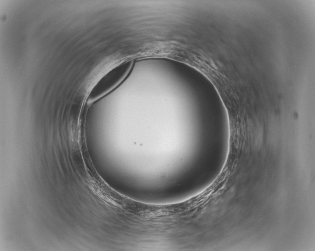 X0000060750100200511101126