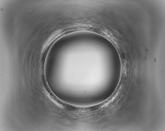 X0000060750101200511101126