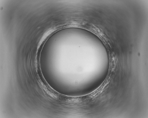 X0000060750102200511101126