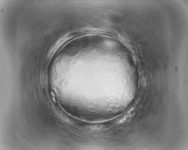 X0000060750103200511101126