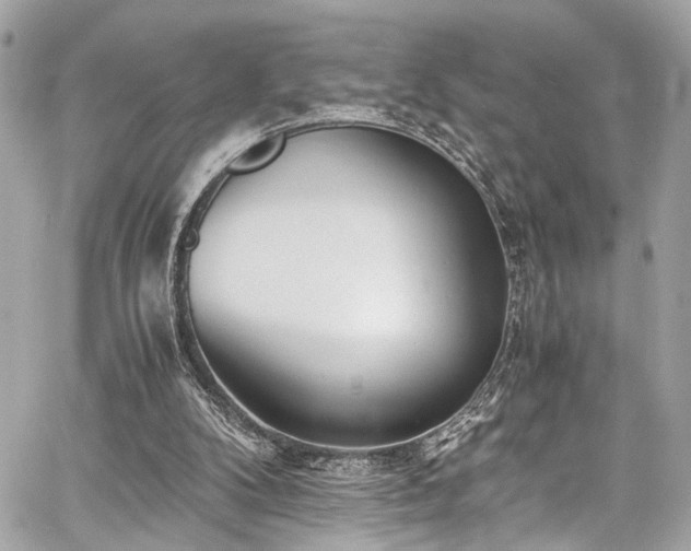 X0000060750104200511101126