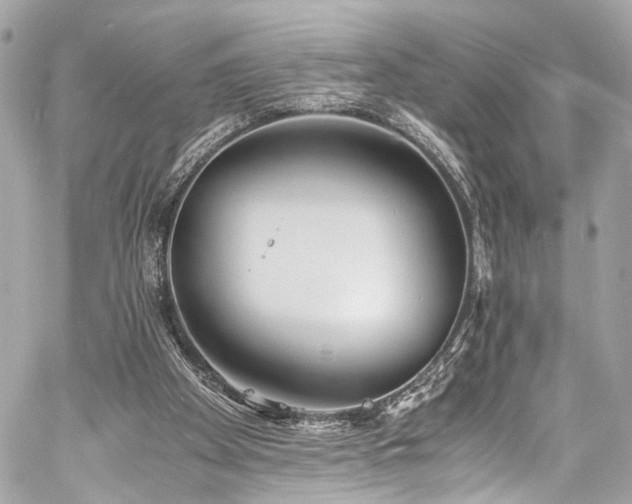 X0000060750105200511101126