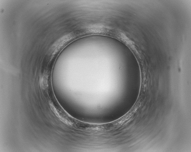 X0000060750106200511101126