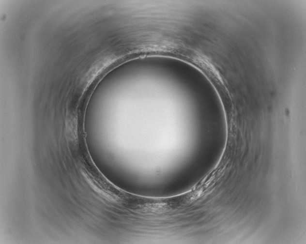 X0000060750108200511101126