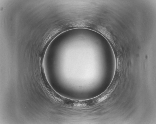 X0000060750109200511101126