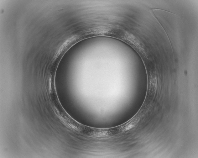 X0000060750110200511101126