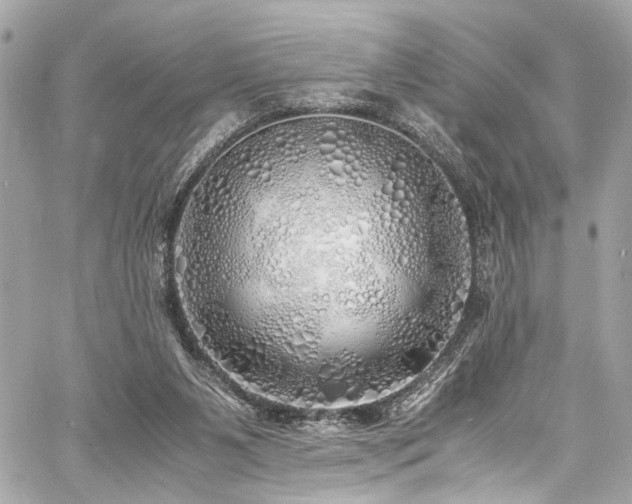 X0000060750111200511101126