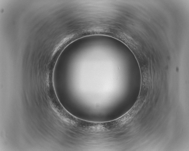 X0000060750112200511101126