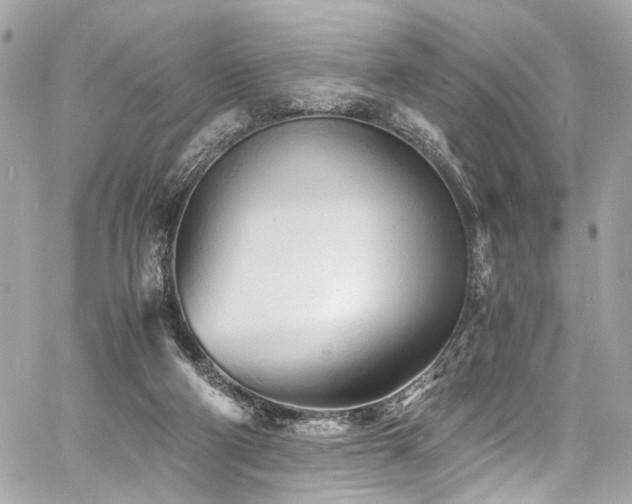 X0000060750114200511101126