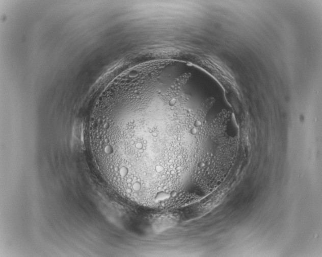 X0000060750115200511101126