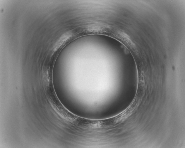 X0000060750116200511101126