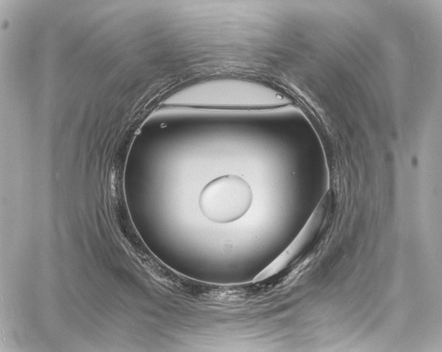 X0000060750117200511101126