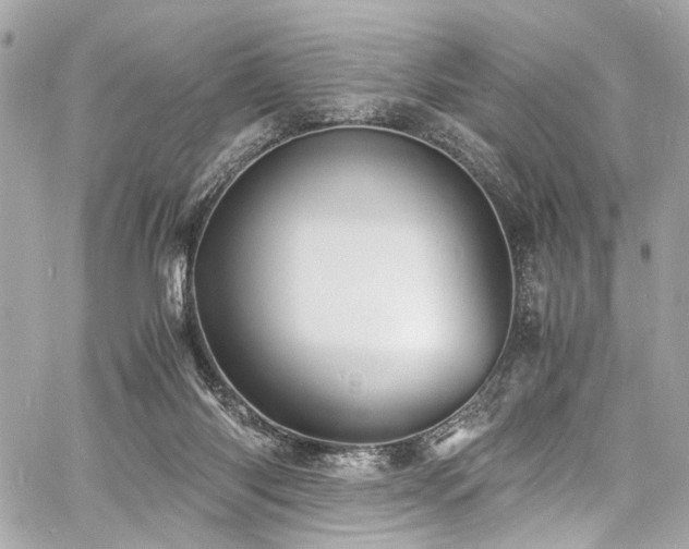 X0000060750118200511101126