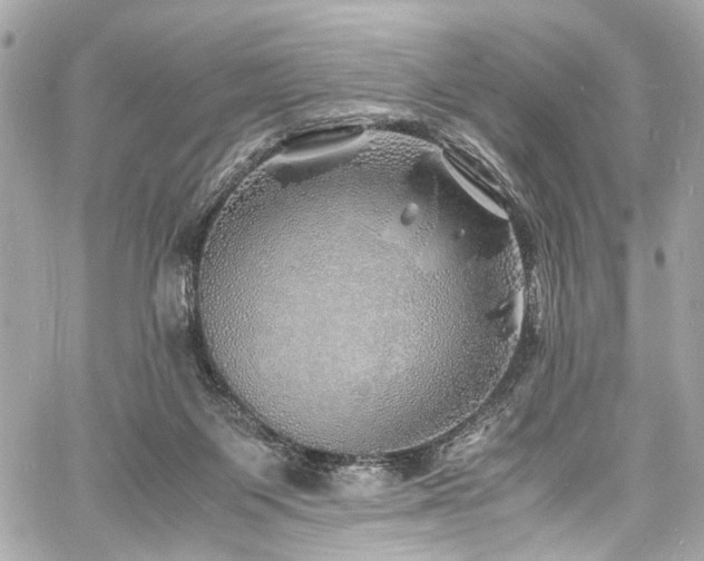 X0000060750119200511101126