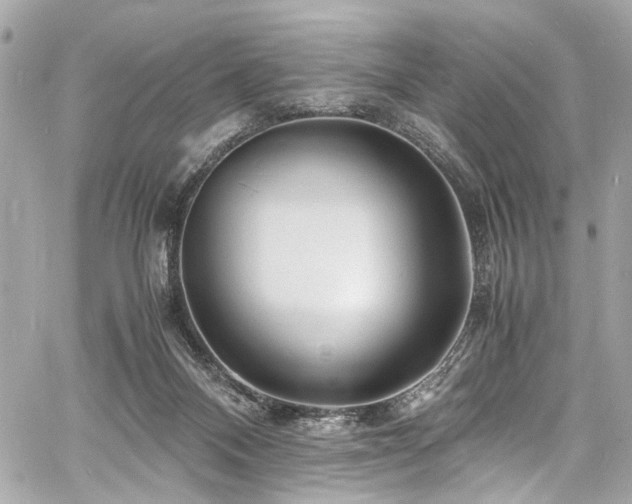 X0000060750120200511101126