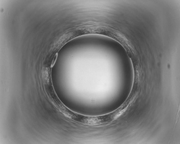 X0000060750121200511101126