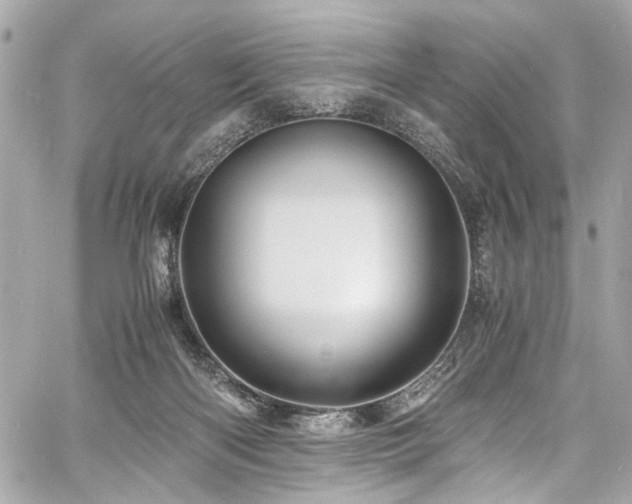 X0000060750122200511101125