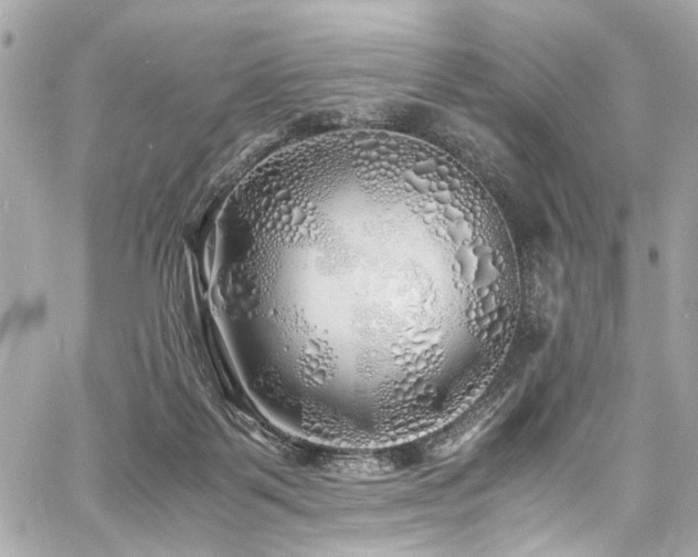 X0000060750123200511101125