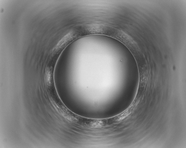 X0000060750124200511101125