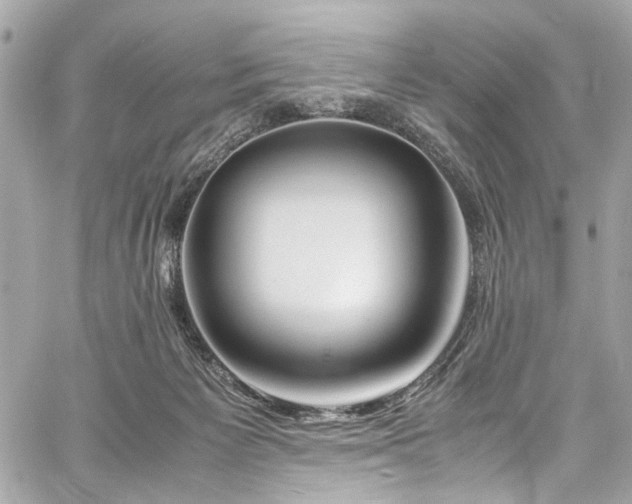 X0000060750125200511101125