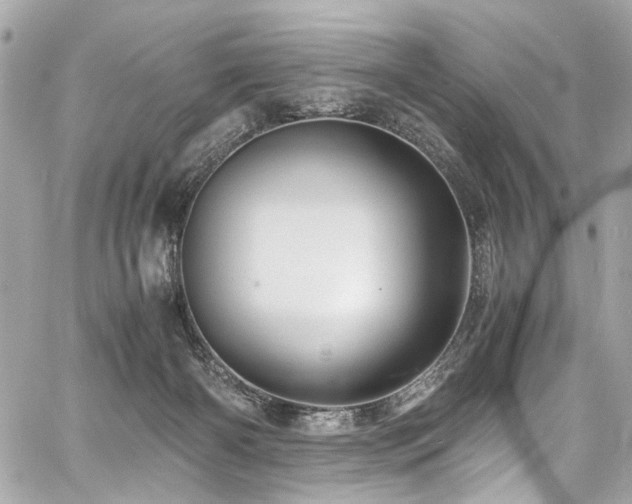 X0000060750126200511101125