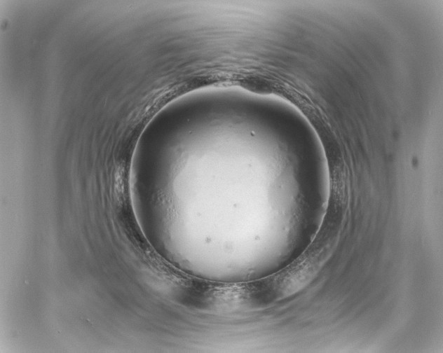 X0000060750127200511101125