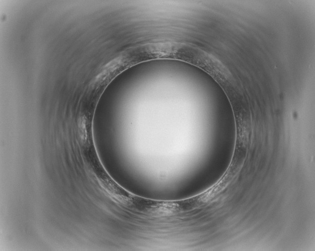 X0000060750128200511101125