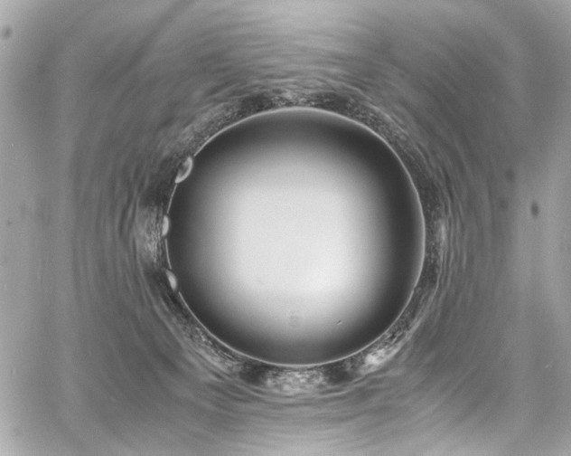 X0000060750129200511101125