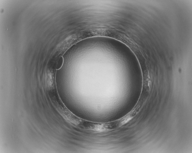 X0000060750130200511101125