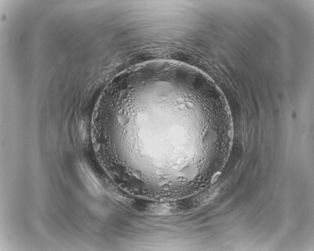 X0000060750131200511101125