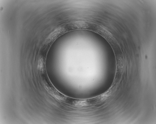 X0000060750132200511101125