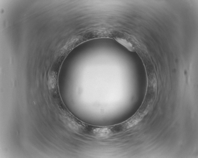 X0000060750133200511101125