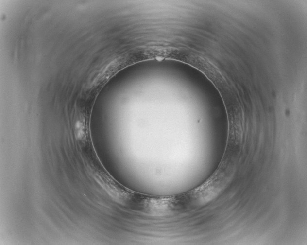 X0000060750134200511101125