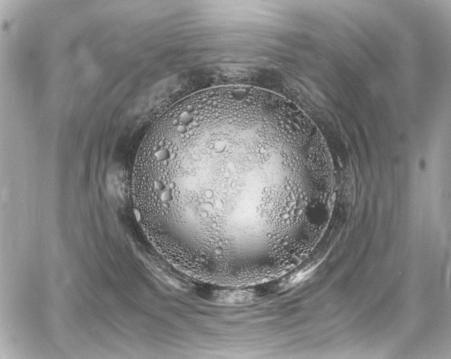 X0000060750135200511101125