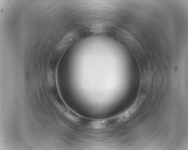 X0000060750136200511101125