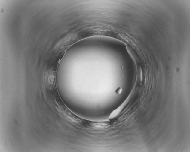 X0000060750137200511101125