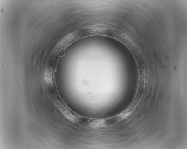 X0000060750138200511101125