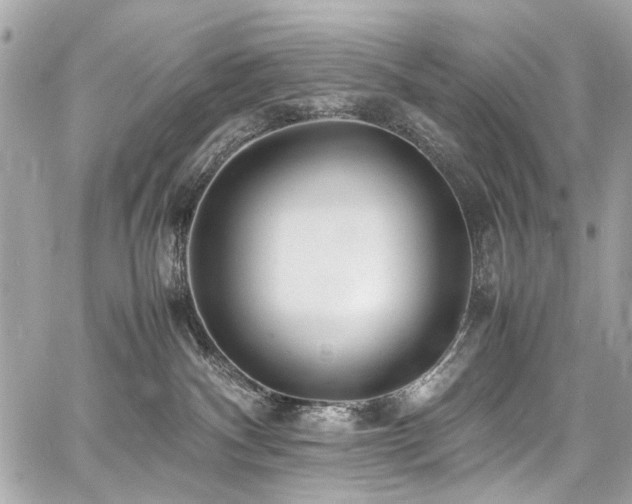 X0000060750140200511101125