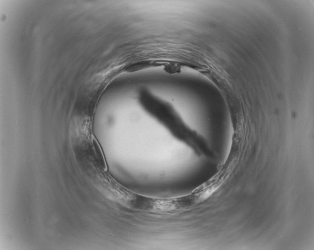 X0000060750141200511101125