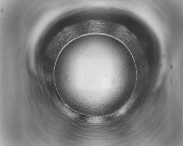 X0000060750142200511101125