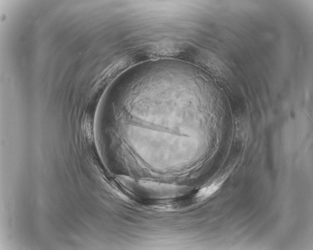 X0000060750143200511101125